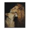 Stupell Industries Regal Pair of Lions Framed Giclee, design by Svetlana Aleynikova